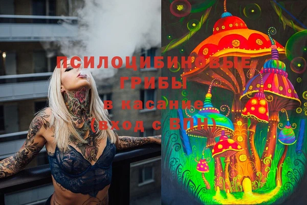 соль курить ск Осинники